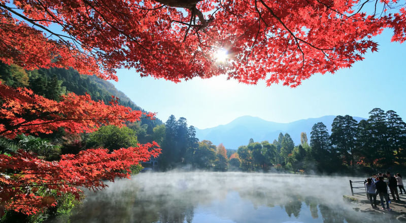 Dazaifu Tenmangu & Yufuin Old Town Full-Day Tour - Is $44.95 good value?
