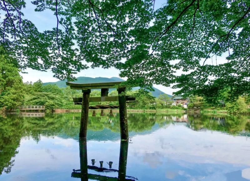 Dazaifu Tenmangu & Yufuin Old Town Full-Day Tour - Who will like this tour most?