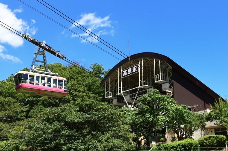 Dazaifu Tenmangu & Yufuin Old Town Full-Day Tour - Booking details worth checking