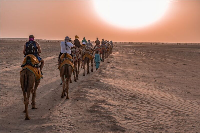 Dazzling Half Day Camel & Desert Safari With Sunset & Dinner - Key Points