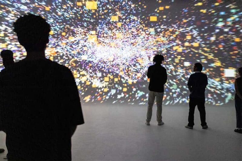 DC: All Creation Sings- Museum of the Bible Exhibition Entry - Authentic Perspectives From Visitors