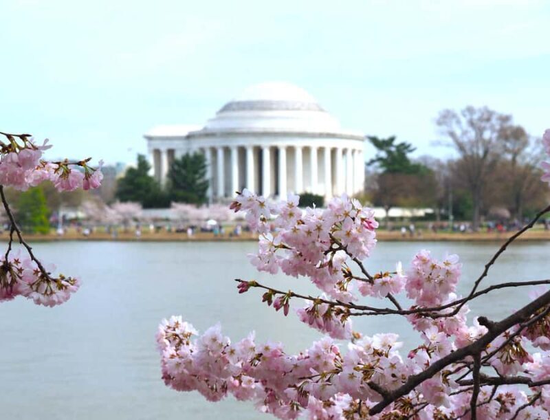 DC Cherry Blossom Guided Tour with Tidal Basin & Monuments - Key Points