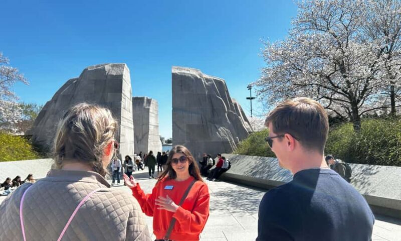DC: Cherry Blossoms & Tidal Basin Memorials Walking Tour - Detailed Breakdown of the Itinerary