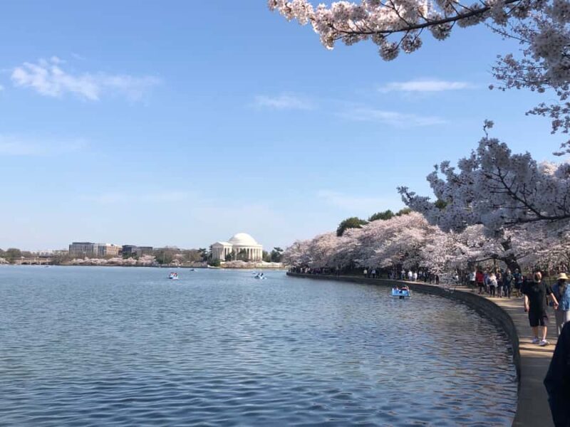 DC: Cherry Blossoms & Tidal Basin Memorials Walking Tour - Who Should Consider This Tour?