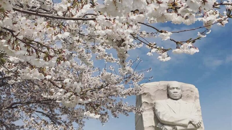 DC: Cherry Blossoms & Tidal Basin Memorials Walking Tour - FAQs