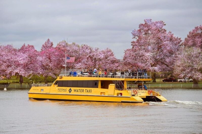 DC: Hop-on Hop-off, Arlington Walking Tour, and Night Tour - Key Points