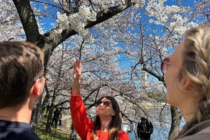 DC in Spring: Cherry Blossom & Tidal Basin Memorials Walking Tour - Final Thoughts
