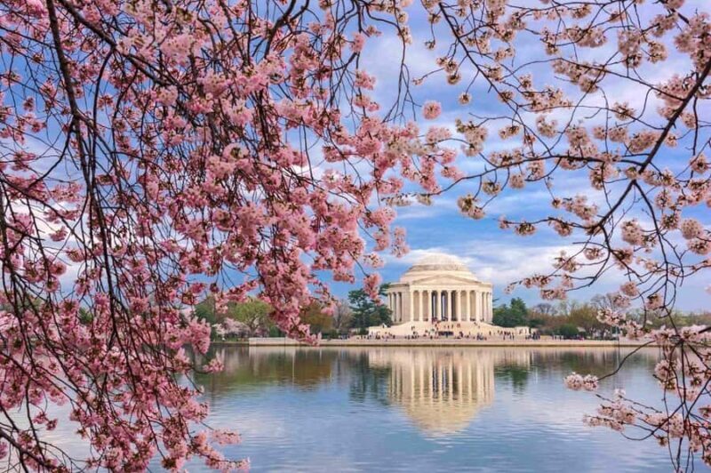 DC Kenwood Cherry Blossoms Small Group Max 12 Half-Day Tour - FAQ