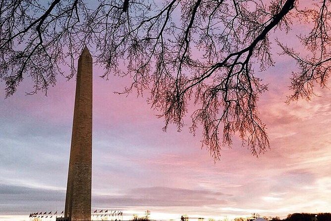 DC Mall w/ Washington Monument Ticket Exclusive Guided Tour - The Value of This Experience