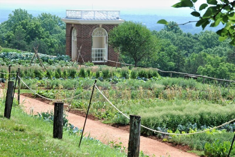 DC: Private Day Trip to Thomas Jeffersons Monticello Estate - DC: Private Day Trip to Thomas Jeffersons Monticello Estate