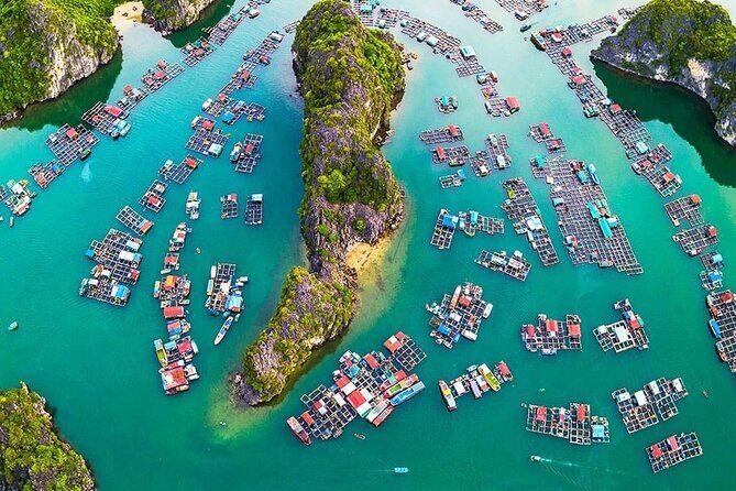 D'Charme Luxury Day Cruise Discover the MOST Stunning Lan Ha Bay - Kayaking & Exploring Caves