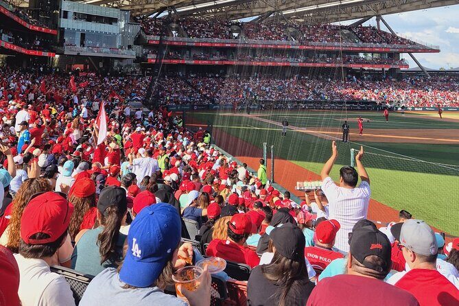 DE DE Baseball match day experience in DE Mexico City - Who Should Book This Tour?
