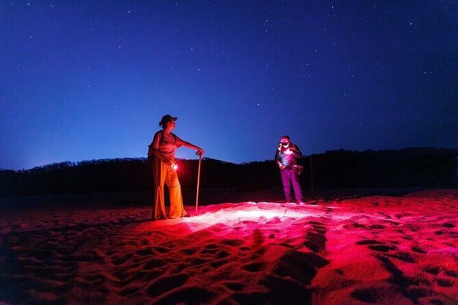 DE rismo and Night Monitoring of Sea Turtles - Experience the Nighttime Wonder of Huatulco with Sea Turtle Monitoring