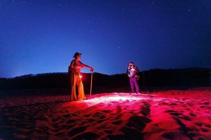 DE rismo and Night Monitoring of Sea Turtles - Frequently Asked Questions