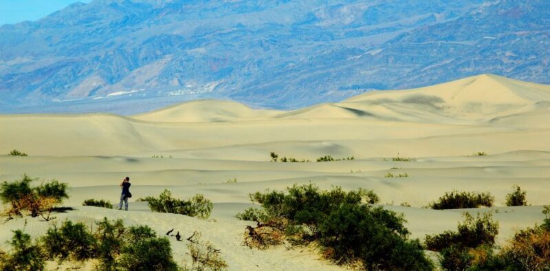 Death Valley: Full-Day Tour from Las Vegas - Exploring Death Valley: Full-Day Tour from Las Vegas