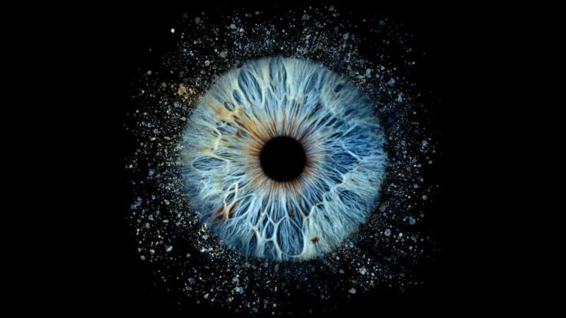 Deauville: Reveal the beauty of your iris with Iris Galerie - Key Points