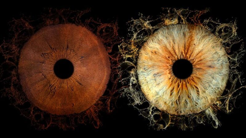 Deauville: Reveal the beauty of your iris with Iris Galerie - What to Expect from Your Visit to Iris Galerie