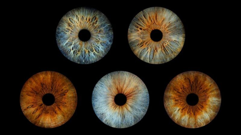 Deauville: Reveal the beauty of your iris with Iris Galerie - Who Should Consider This Tour?