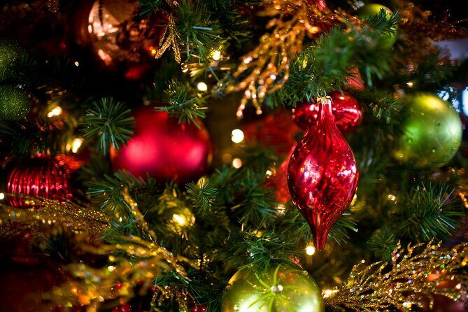 December Nights Dinner Cruise on San Diego Bay - Key Points