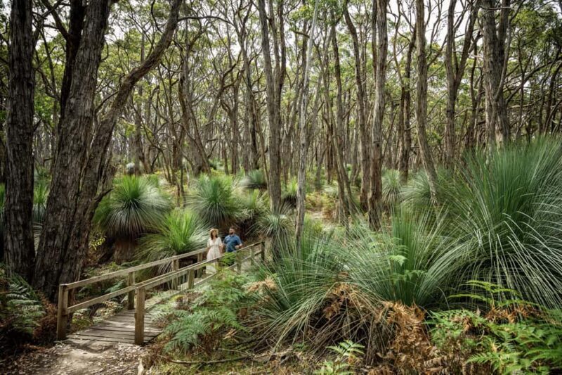Deep Creek National Park: 4WD Adventure and Native Food Tour - A Deep Dive into the Experience