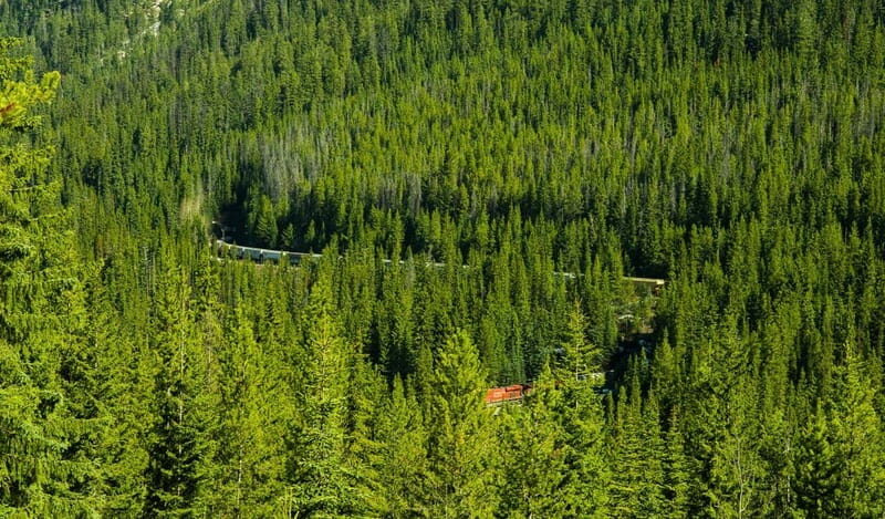 Deep Day Tour to Emerald, Moraine, Louise Lake, J. Canyon... - Who Would Love This Tour?