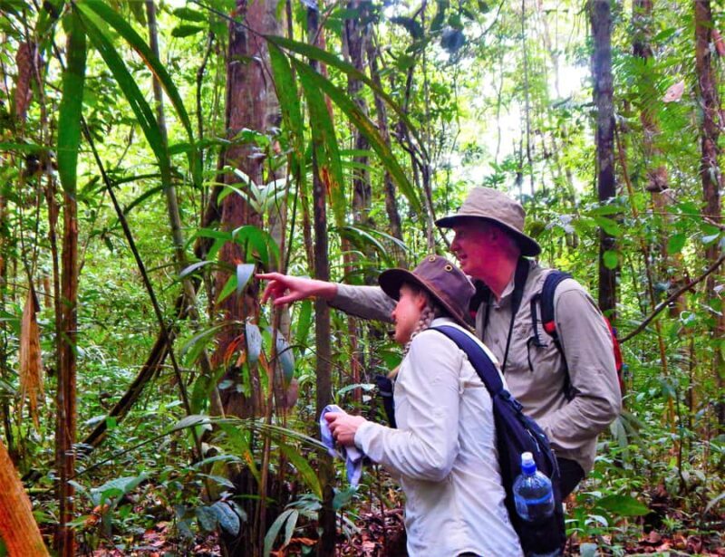 Deep Jungle Experience Plan 4 Days - Key Points