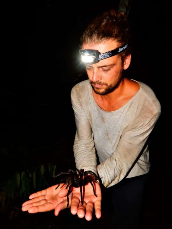 Deep Jungle Experience Plan 4 Days - Day 1: First Steps into the Jungle