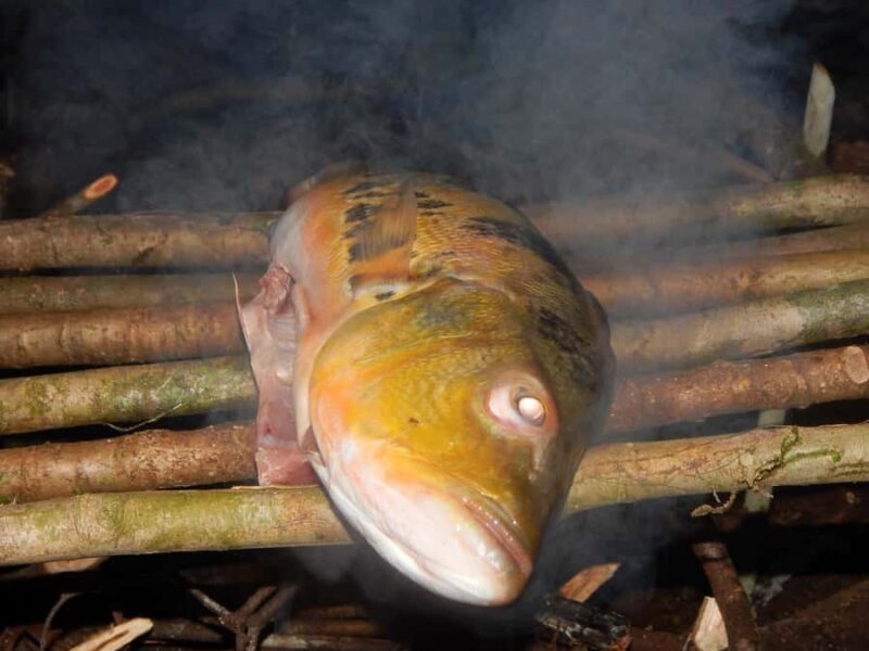 Deep Jungle Experience Plan 4 Days - Day 4: Final Moments & River Return