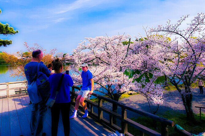 Deep Kyoto Tour in Private Van - guided by Local Expert - Final Thoughts