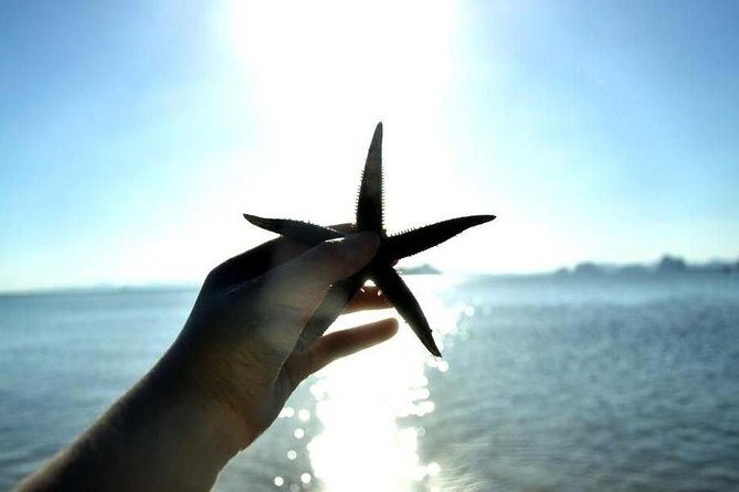 Deep Mangrove and Canyon Kayak Tour in Krabi - Authenticity and Experience Quality