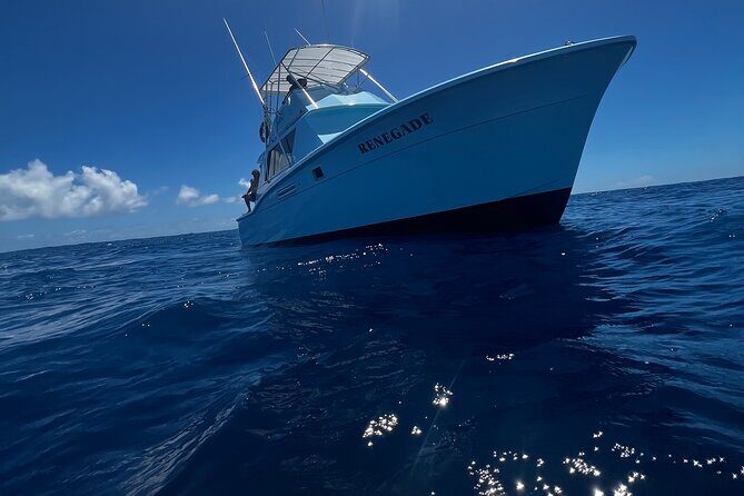 Deep Sea Exclusive Fishing Charter in Honolulu - Pricing and Value
