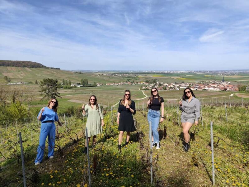 Dégustation de champagne balade panoramique dans les vignes - Why Choose This Tour?