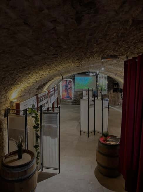 Dégustation de vins au Caveau Délicave - Final Thoughts: Is This Tour for You?