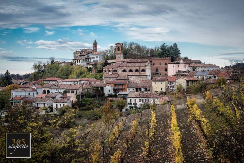 Degustazione di vini del Monferrato con visita della cantina - Why Choose This Tour?