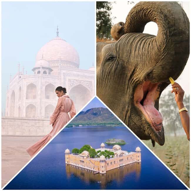 Delhi: 2Day Agra & Jaipur Tour with Elephant SOS and 5*Hotel - Who Is This Tour Best For?
