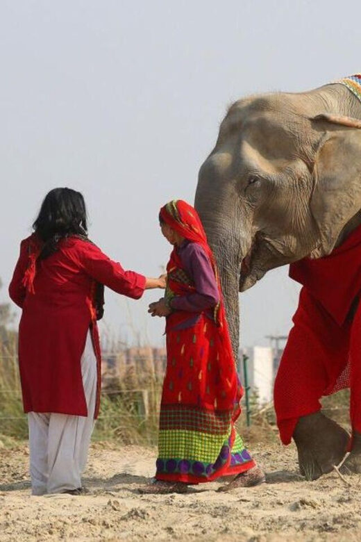 Delhi: 3Day Golden Triangle with Elephant SOS (5 Star Hotel) - Key Points