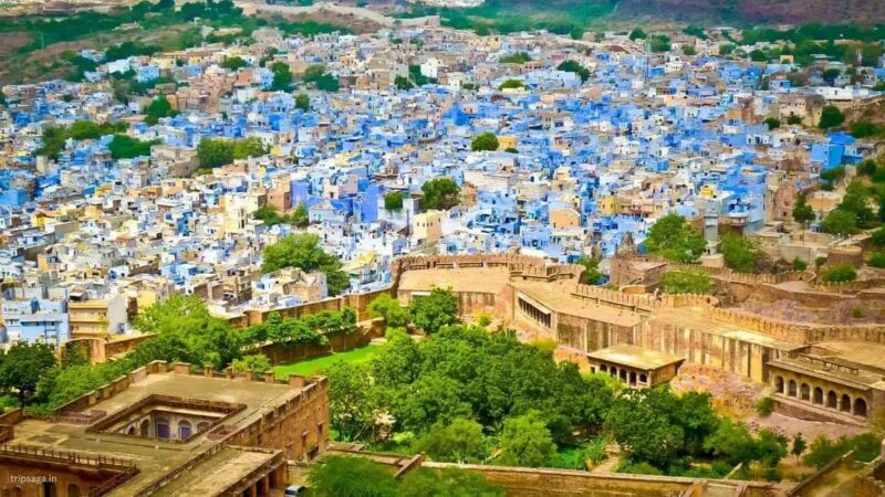 Delhi: 6Day Golden Triangle with Jodhpur & Udaipur(5* Hotel) - Why This Tour Is a Great Value