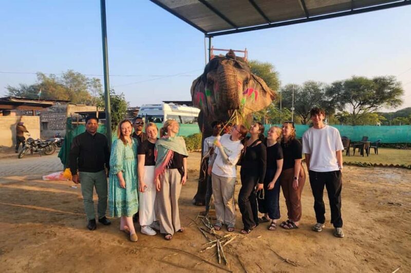 Delhi - Agra - Jaipur 3 Day Tour - The Complete 3-Day Golden Triangle Experience