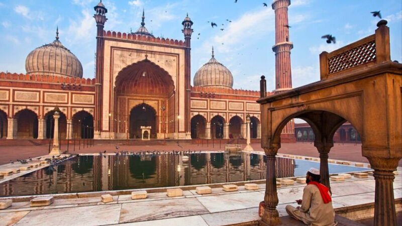 Delhi Airport: Private Guided Layover Delhi City Tour by Car - A Deep Dive into the Delhi Airport Guided Tour