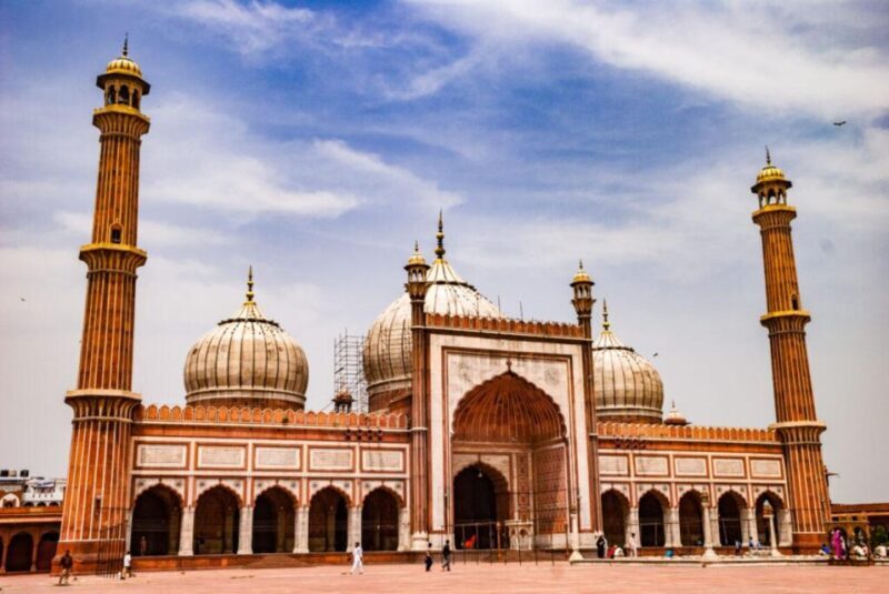 Delhi: All Inclusive Old & New Delhi Full & Half Day Tour - Real Reviews Bring It to Life
