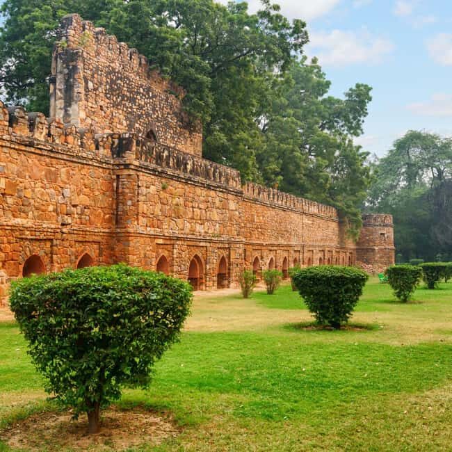 Delhi: Ayurveda, Culture, and Culinary Day Tour - Who Should Consider This Tour?