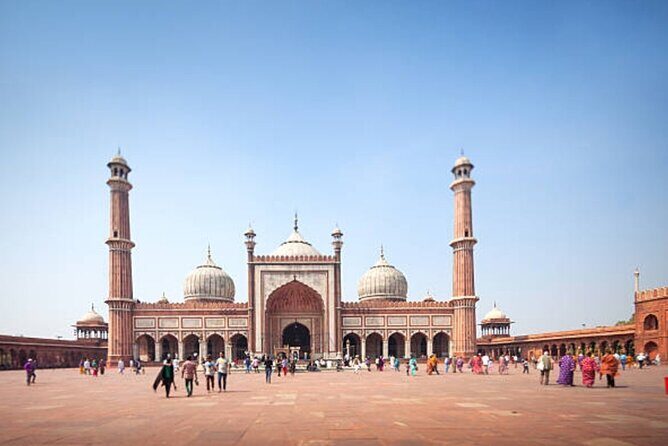 Delhi: City Sightseeing Private tour Half or Full-Day Option - Exploring Delhi in Comfort and Style