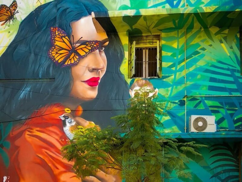 Delhi: Explore Delhi's Street Art & Visit to an Art Centre - Exploring Delhi’s Art Scene and Hidden Corners: A Detailed Look at the Street Art & Art Centre Tour