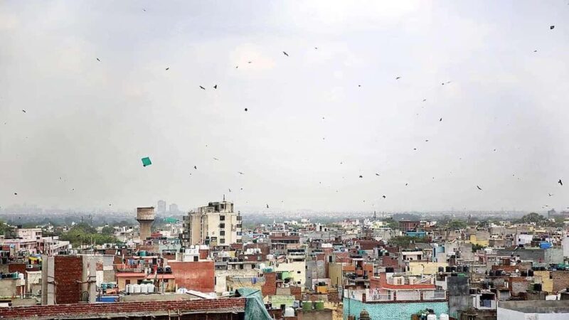 Delhi: Kite Flying in Old Delhi-A Journey Through the Skies - FAQ