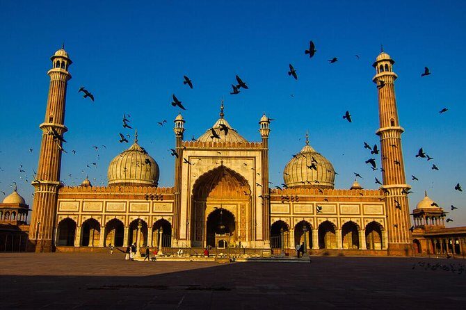 Delhi: Old and New Delhi Private Full or Half-Day Tour - Why This Tour Works Well