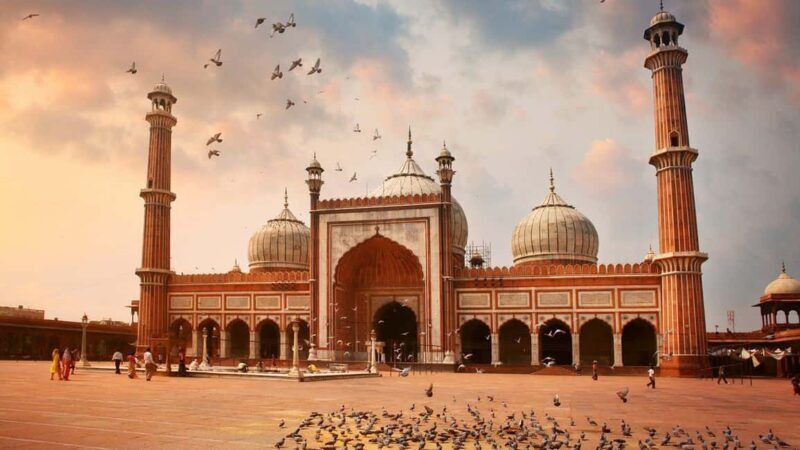 Delhi: Old and New Delhi Private Full or Half-Day Tour - Who Should Consider This Tour?