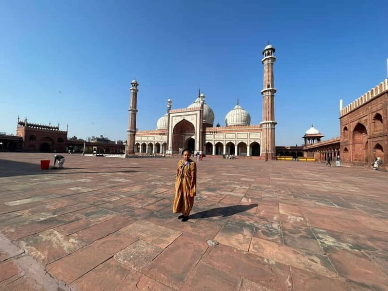 Delhi: Old and New Delhi Private Full or Half-Day Tour - The Value for Money
