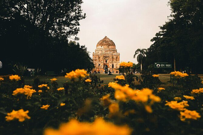 Delhi: Old & New Delhi Full or Half Day Tour - What Travelers Say: Authentic Perspectives