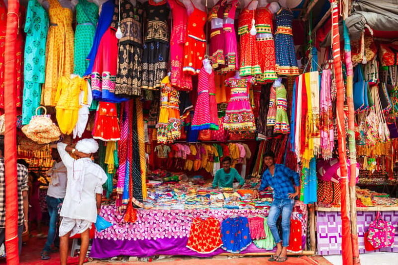 Delhi: Old & New Delhi Private Full or Half-Day Guided Tour - Exploring Delhi: A Classic Mix of History and Modernity