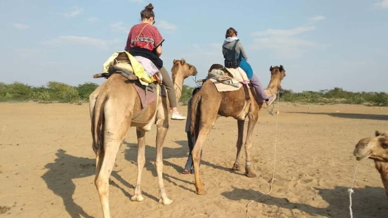 Delhi : One Day Sightseeing Tour - Final Thoughts: Is This Tour Worth It?